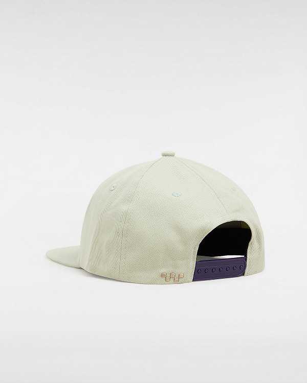 Beige Vans Skate Star Low Unisex Hats | VN7439810