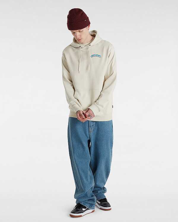 Beige Vans True Waves Men Hoodie | VN6154982