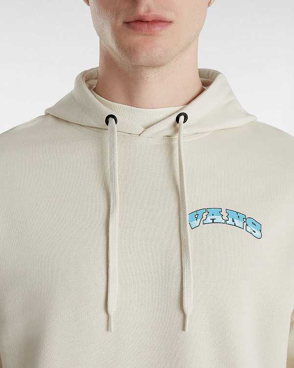 Beige Vans True Waves Men Hoodie | VN6154982