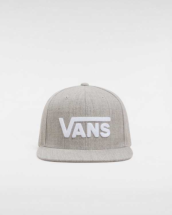 Grey Vans Drop V Unisex Hats | VN3154972