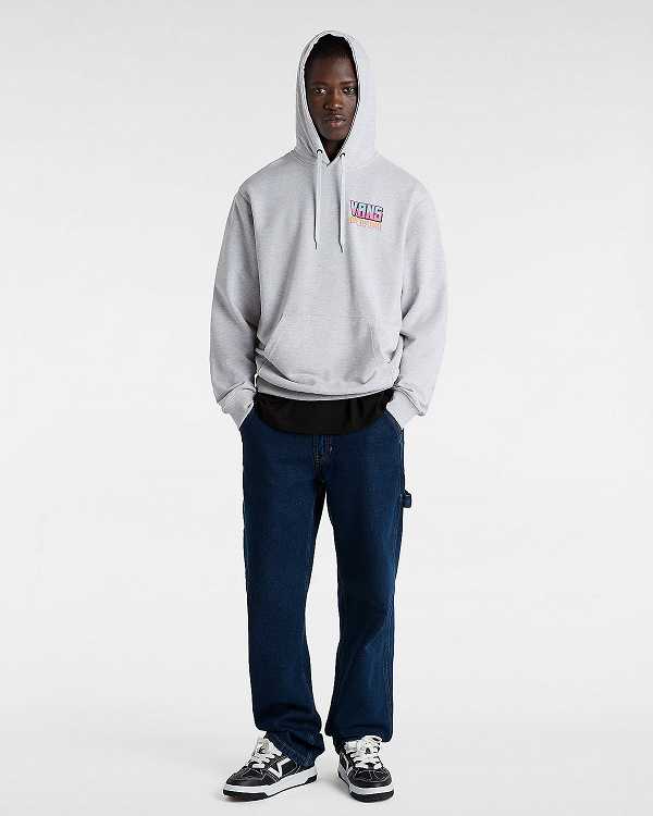 Grey Vans Palm Cheers Classic Men Hoodie | VN7498316